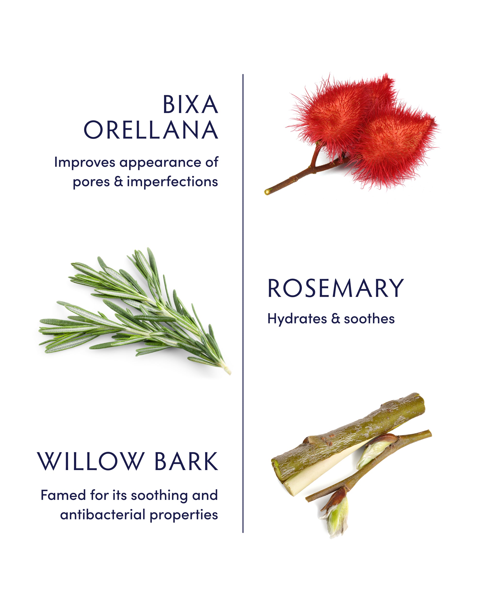 Rosemary & Willow Bark Clarifying Moisturizer